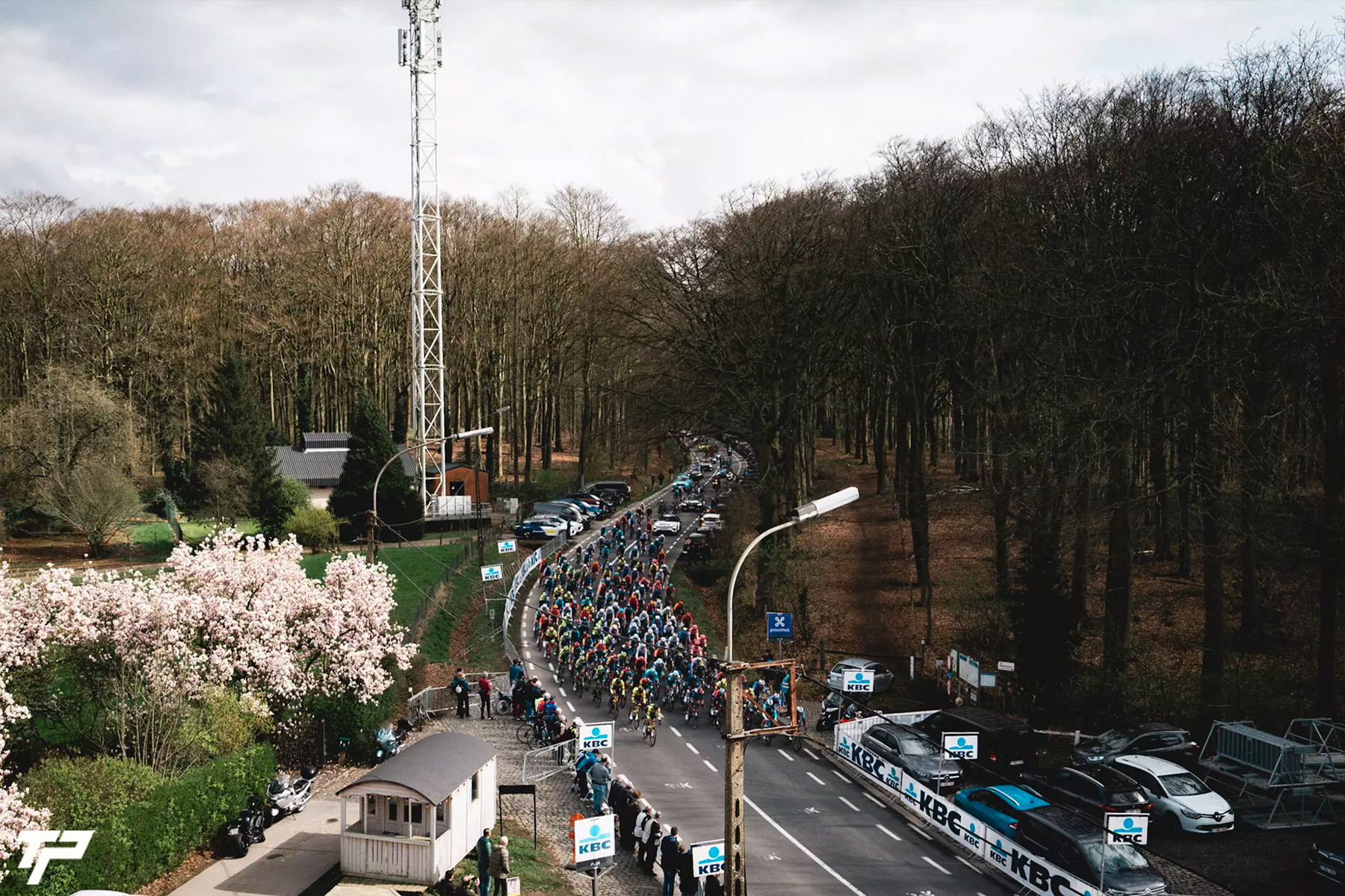 The Dwars door Vlaanderen is tinged yellow: historic double for the hornets