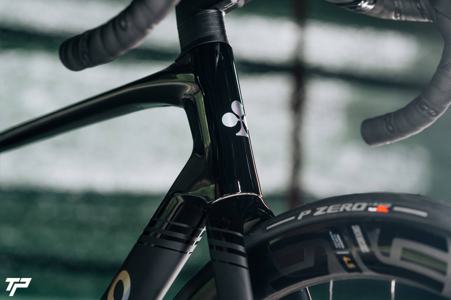 Colnago V5Rs Disc: Eleganza Italiana