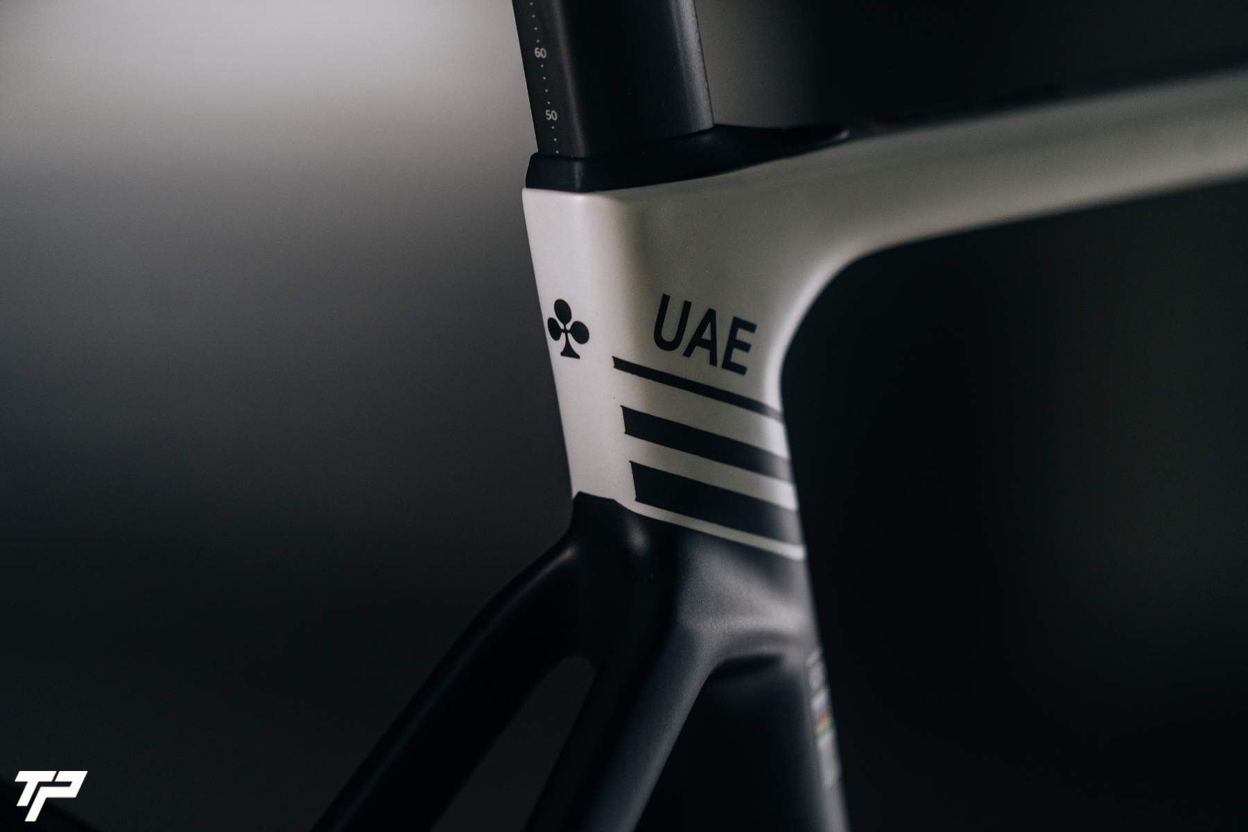 Colnago V5Rs | L'Asso del Ciclismo