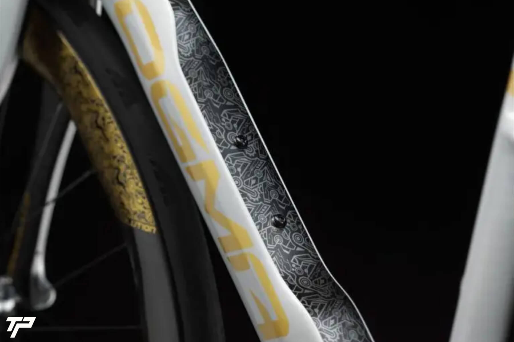 Pinarello New Dogma F Jorge Martín: potenza MotoGP, cuore Pinarello