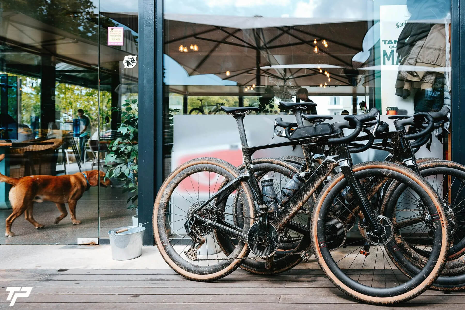 Cervélo Áspero 5: velocità pura e anima gravel