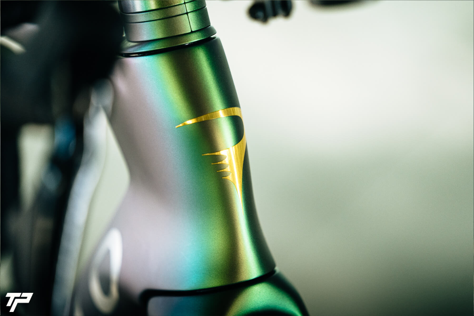 Pinarello New Dogma F MY25 1K: Solo 50 Esemplari per Dominare l'Asfalto