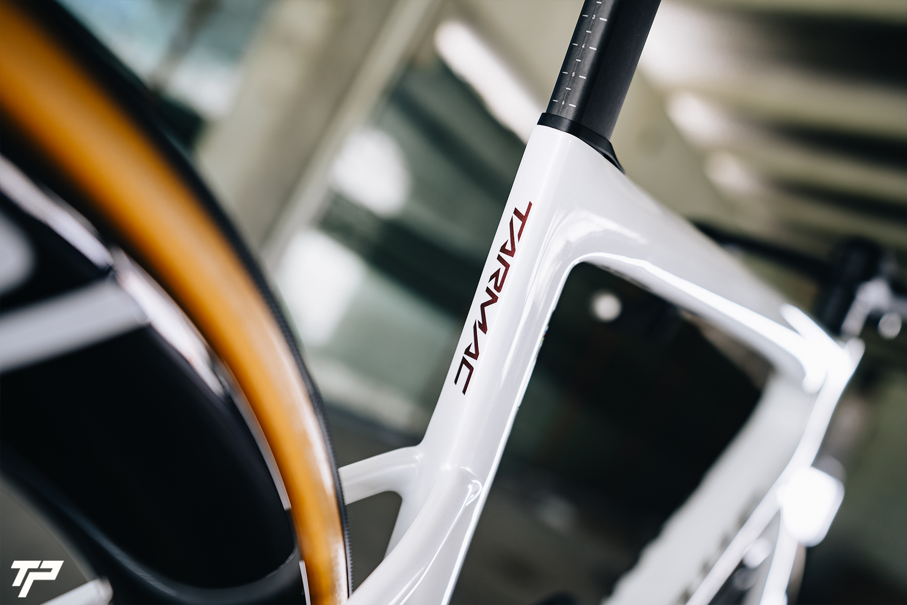 S-Works Tarmac SL8: Speed has finally found its final shape