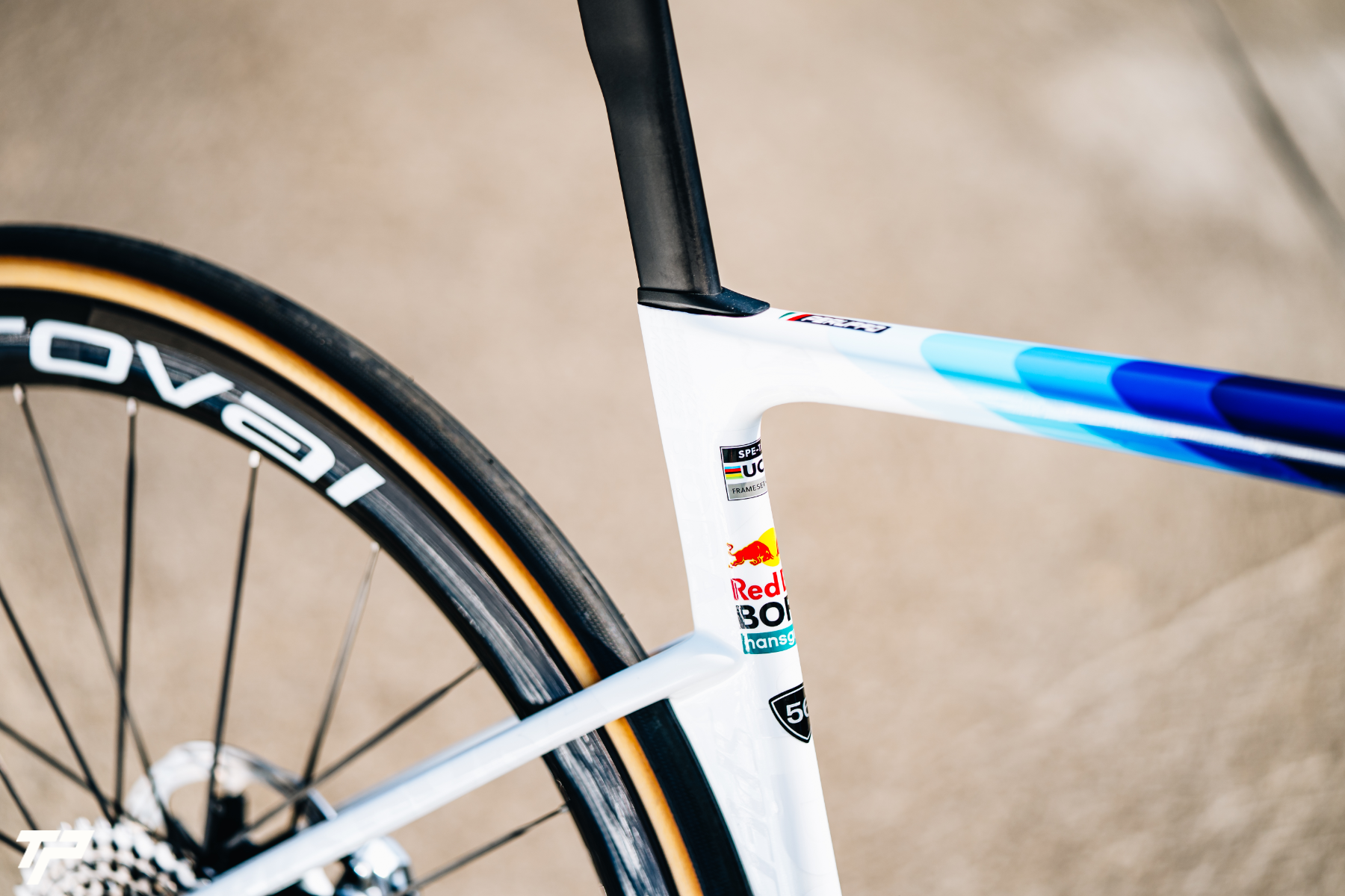 Specialized S-Works Tarmac SL9: lo spirito Red Bull - BORA - hansgrohe