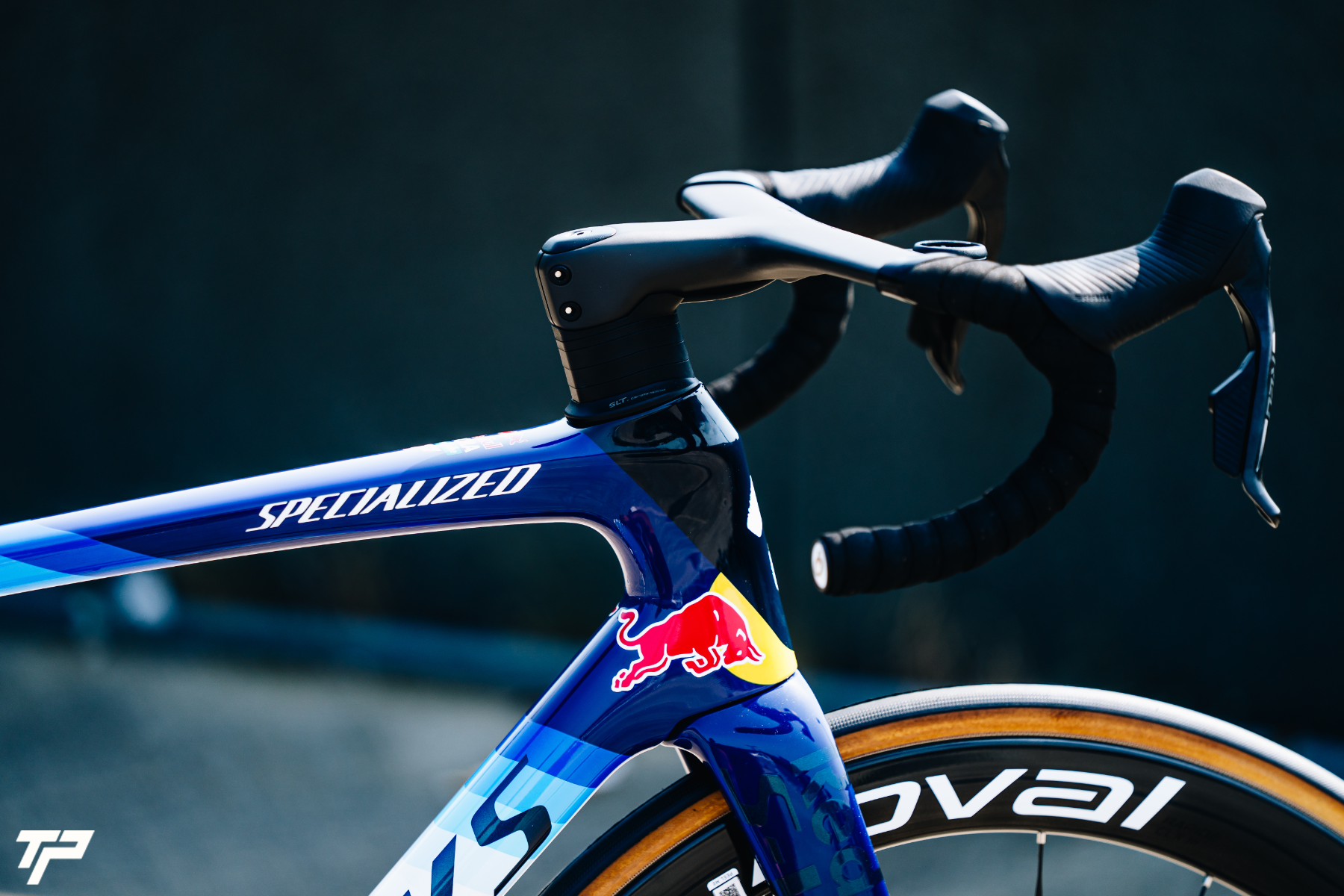 Specialized S-Works Tarmac SL9: lo spirito Red Bull - BORA - hansgrohe