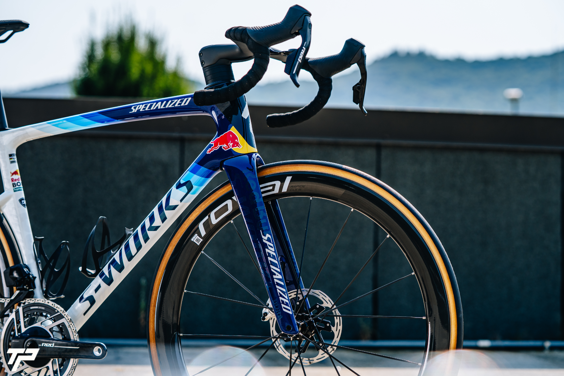 Specialized S-Works Tarmac SL9: lo spirito Red Bull - BORA - hansgrohe