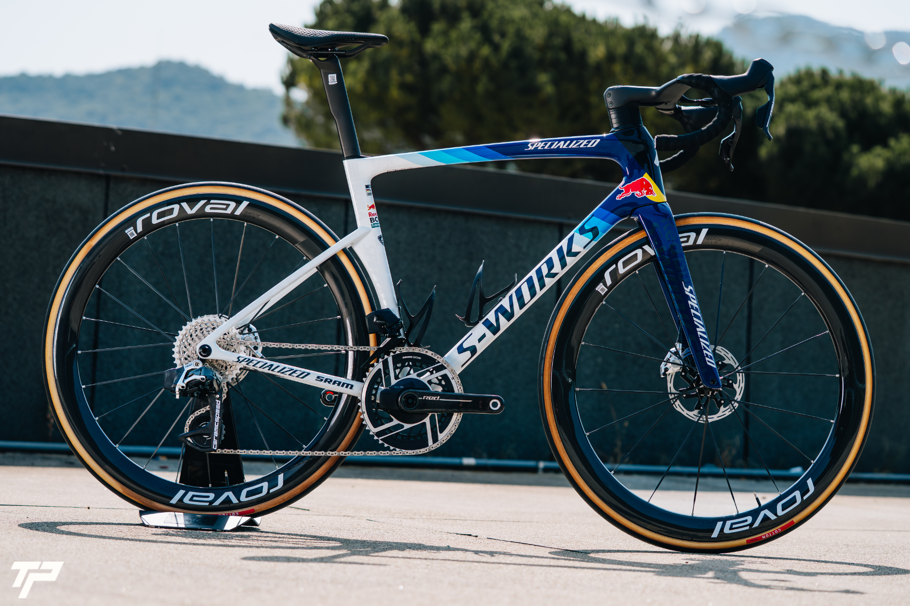 Specialized S-Works Tarmac SL9: lo spirito Red Bull - BORA - hansgrohe