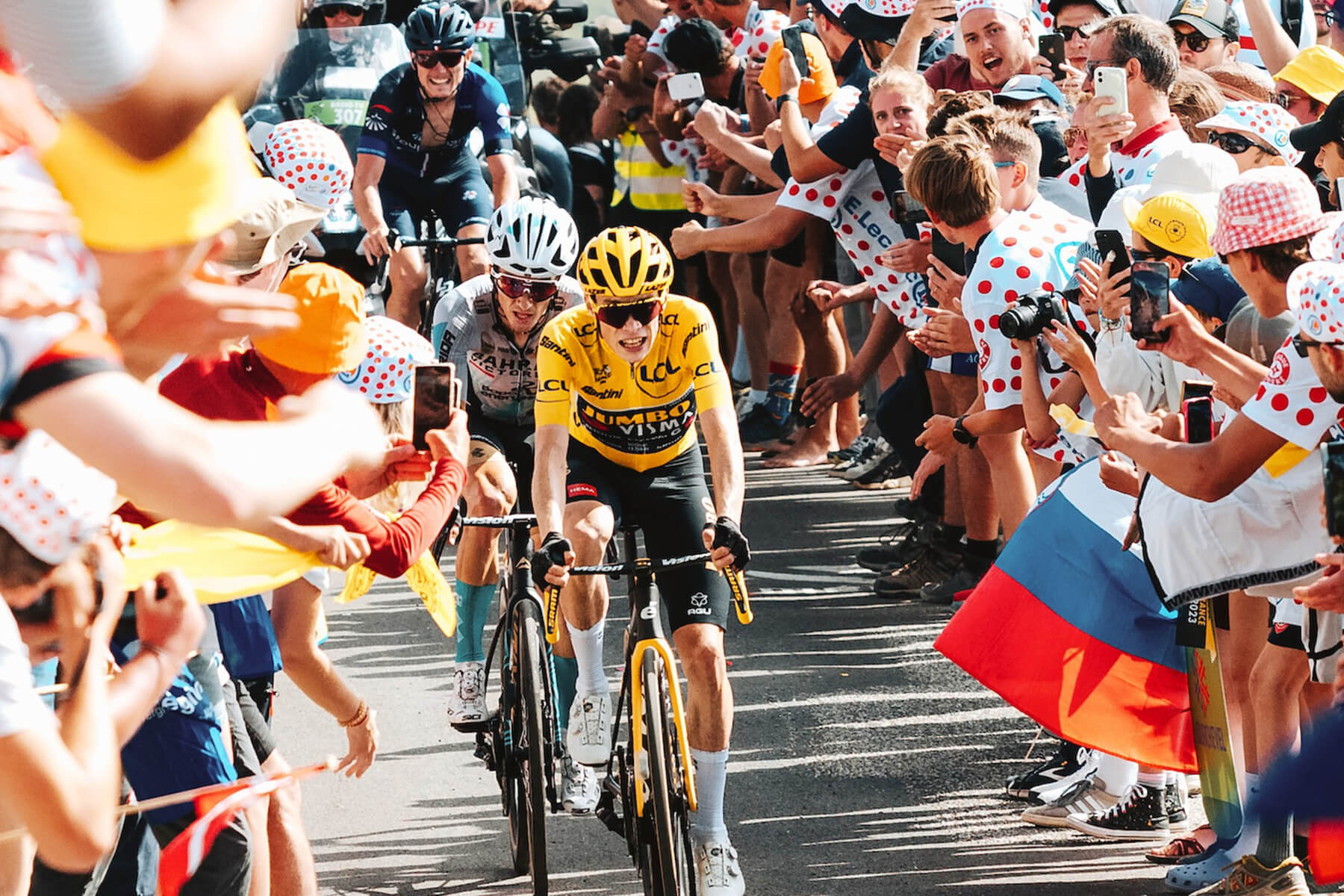 Teamperuffo stagione ciclistica