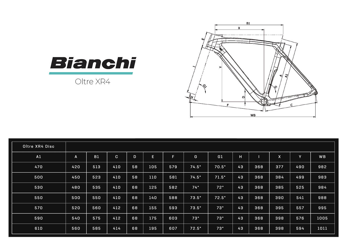 Bianchi Oltre XR4 Geometria Geometry