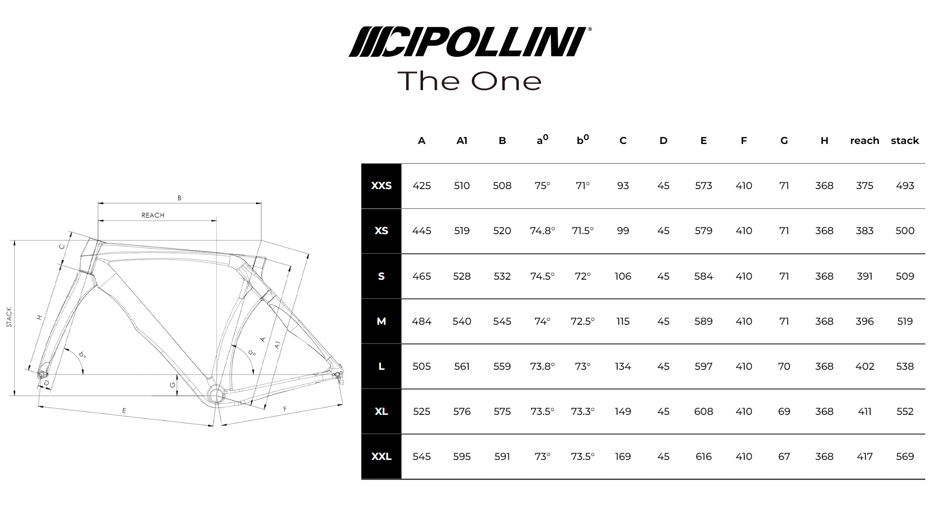 Cipollini The One Geometria Geometry