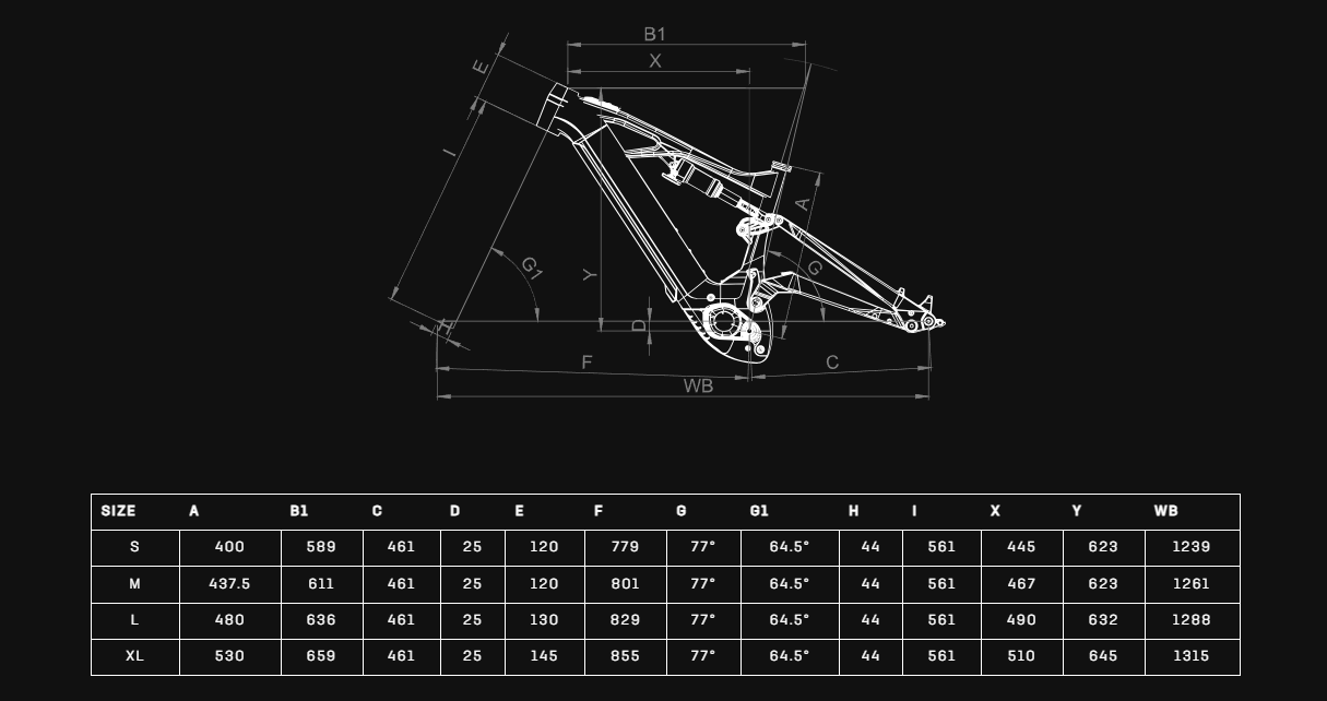 Bianchi E-Vertic FX Geometrie Geometry
