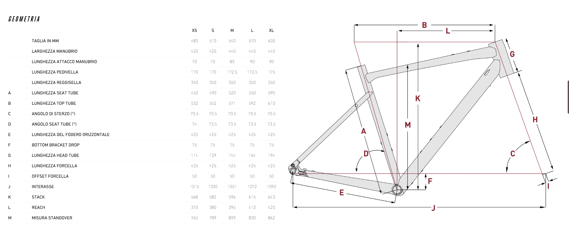Focus Atlas Geometria Geometry